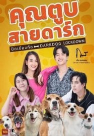 ซีรี่ย์จีนพากย์ไทย ออนไลน์